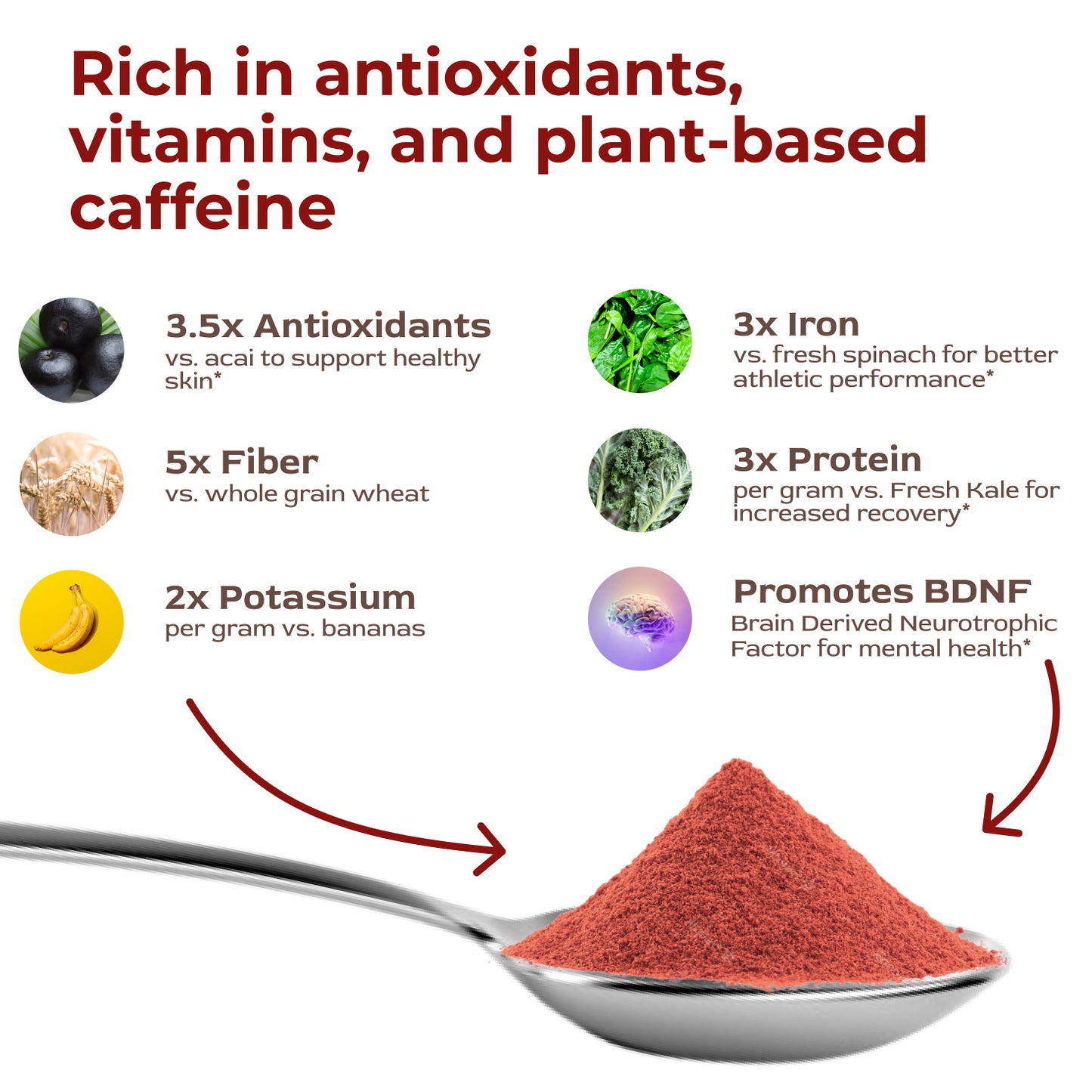 Cascara Clarity, Natural BDNF Brain Boost from Coffee Cherries
