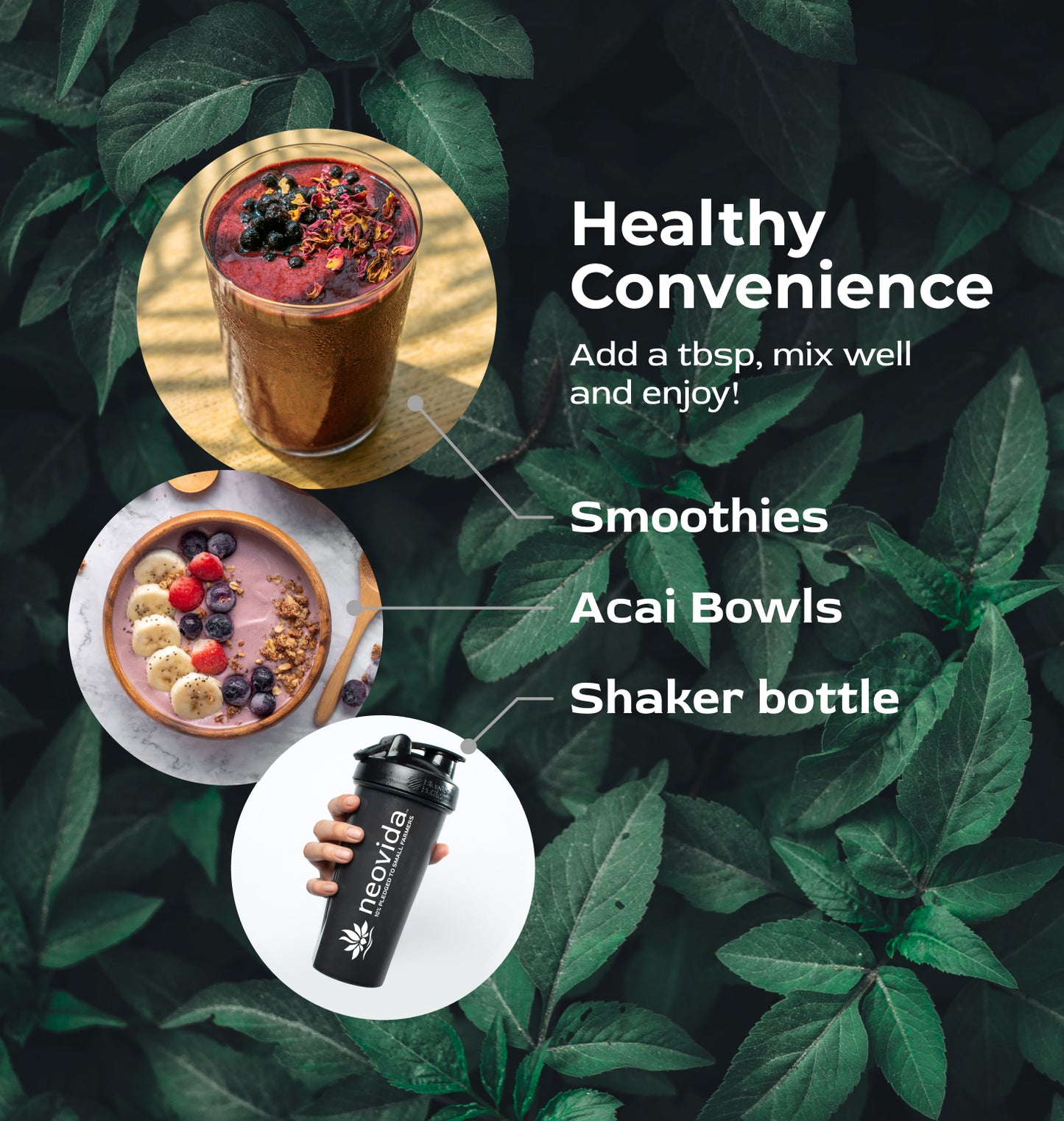 Cascara Clarity, Natural BDNF Brain Boost from Coffee Cherries