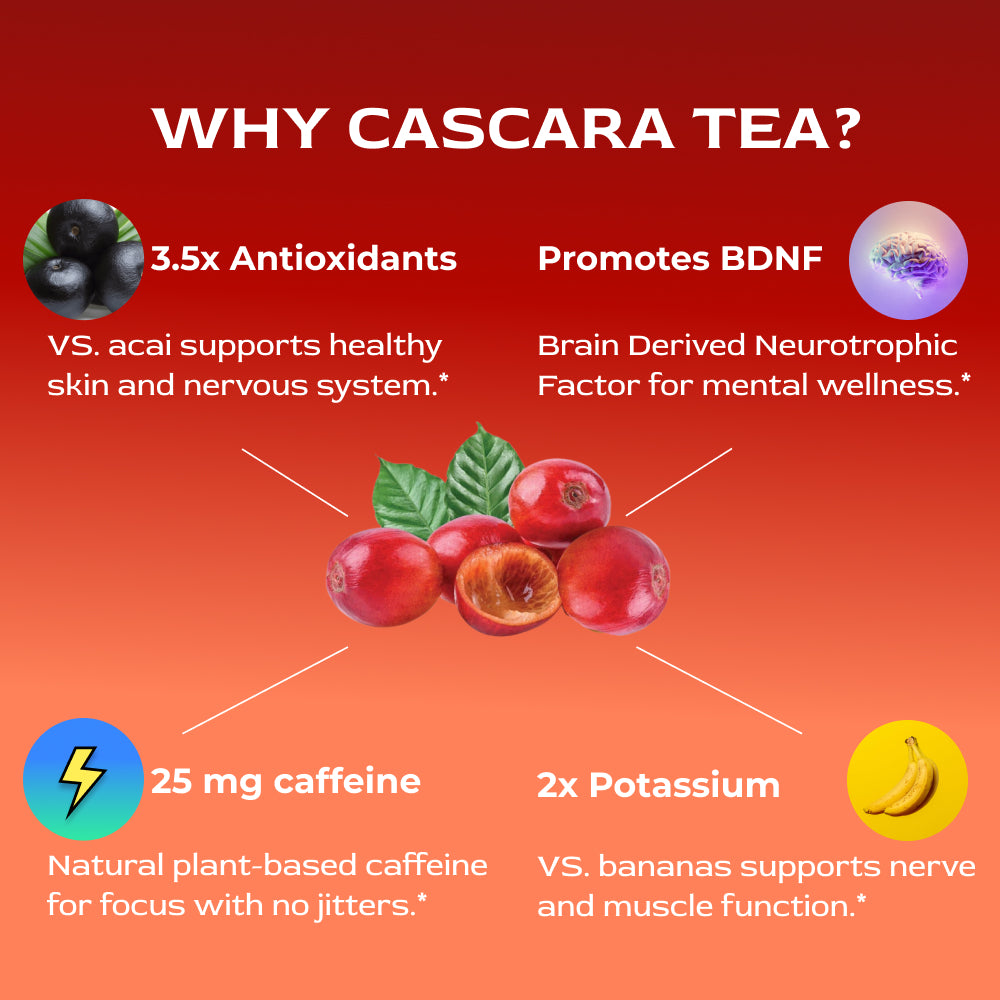 Coffee Cherry Tea, Cascara Coffee Fruit Tea (Peppermint)
